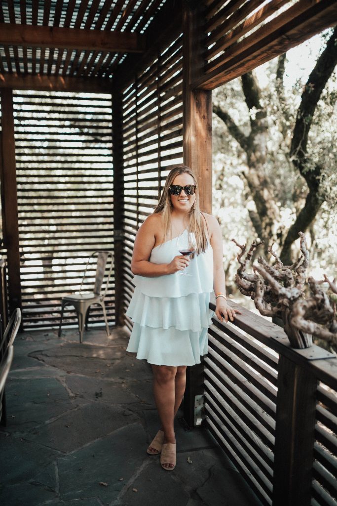 Ashley Zeal from Two Peas in a Prada shares her Healdsburg Travel Guide. Including where to stay, eat drink, and what to do. 