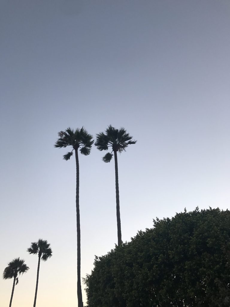 Ashley Zeal from Two Peas in a Prada shares her travel guide for spending 72 hours in LA. Read all about her girls trip with KatwalkSF and Lola and Ivy PR. 