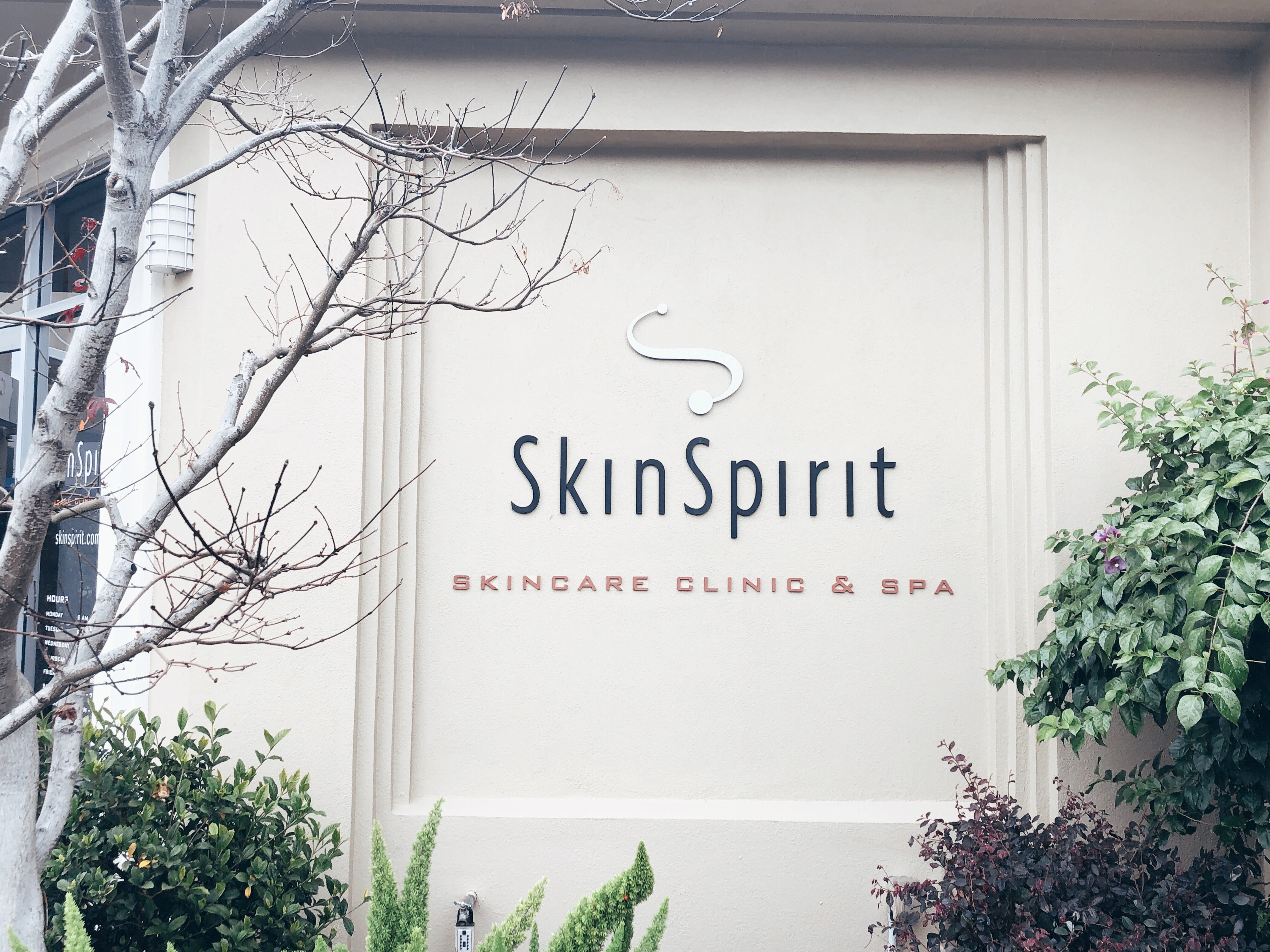 San Francisco blogger, Ashley Zeal, from Two Peas in a Prada shares her wedding skincare plan with SkinSpirit Palo Alto. We are also answering all of your skincare questions!